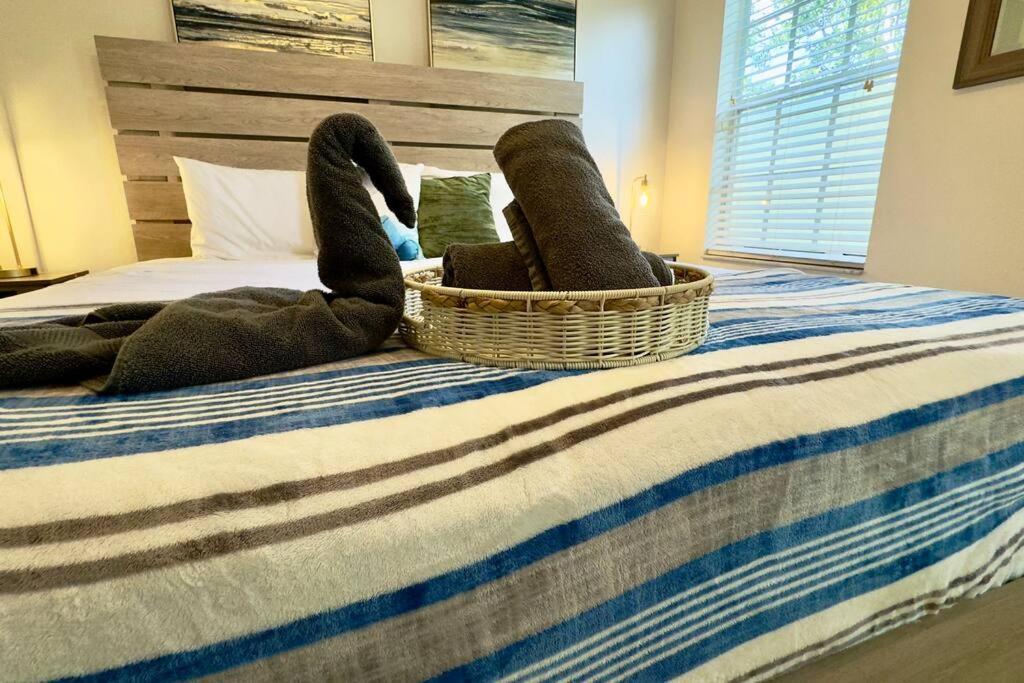 Blue Haven Near Downtown Ybor & Beaches Holiday home Tampa